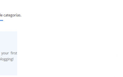 Cómo mostrar descripciones de categorías y titles en Divi